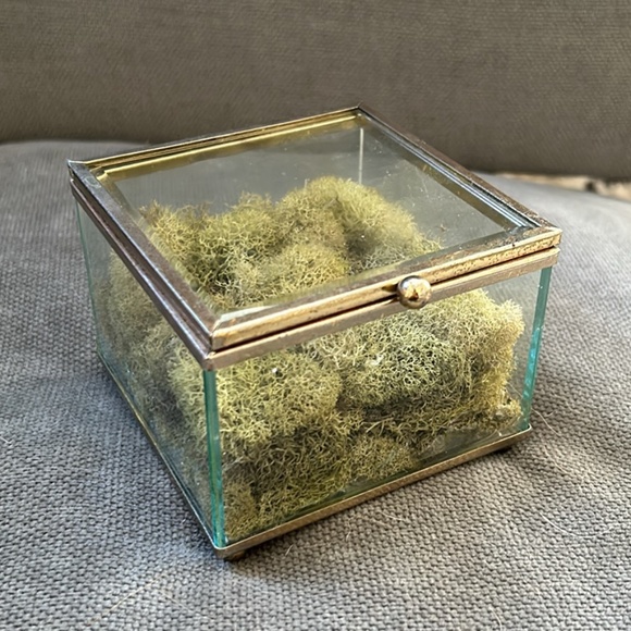 Ring Box - Picture 2 of 4